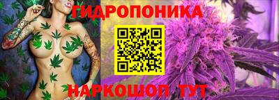 СК Камышлов