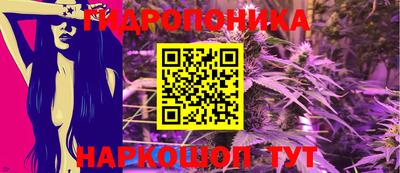 СК Камышлов