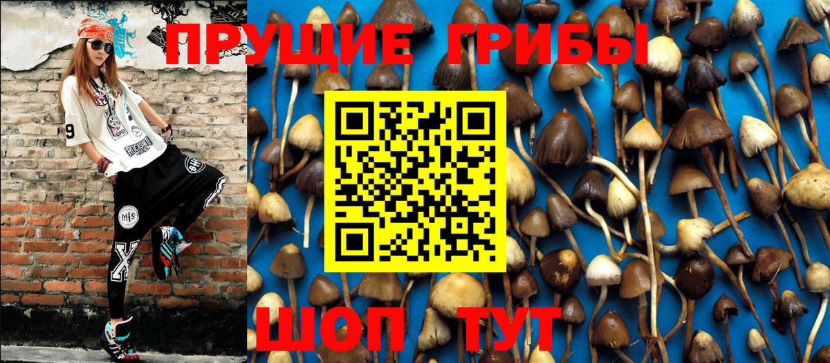 Кумертау  Псилоцибиновые грибы Psilocybe  где купить наркотик  Вход с VPN 